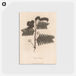 1-31_James-Heath_postcard