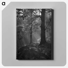 1-31_James-Walter-Chapman-Taylor_canvas