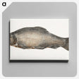 1-31_Jean-Bernard_canvas