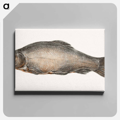 アートパネル-Fish - ジャン ベルナール Canvas.