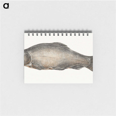1-31_Jean-Bernard_memo