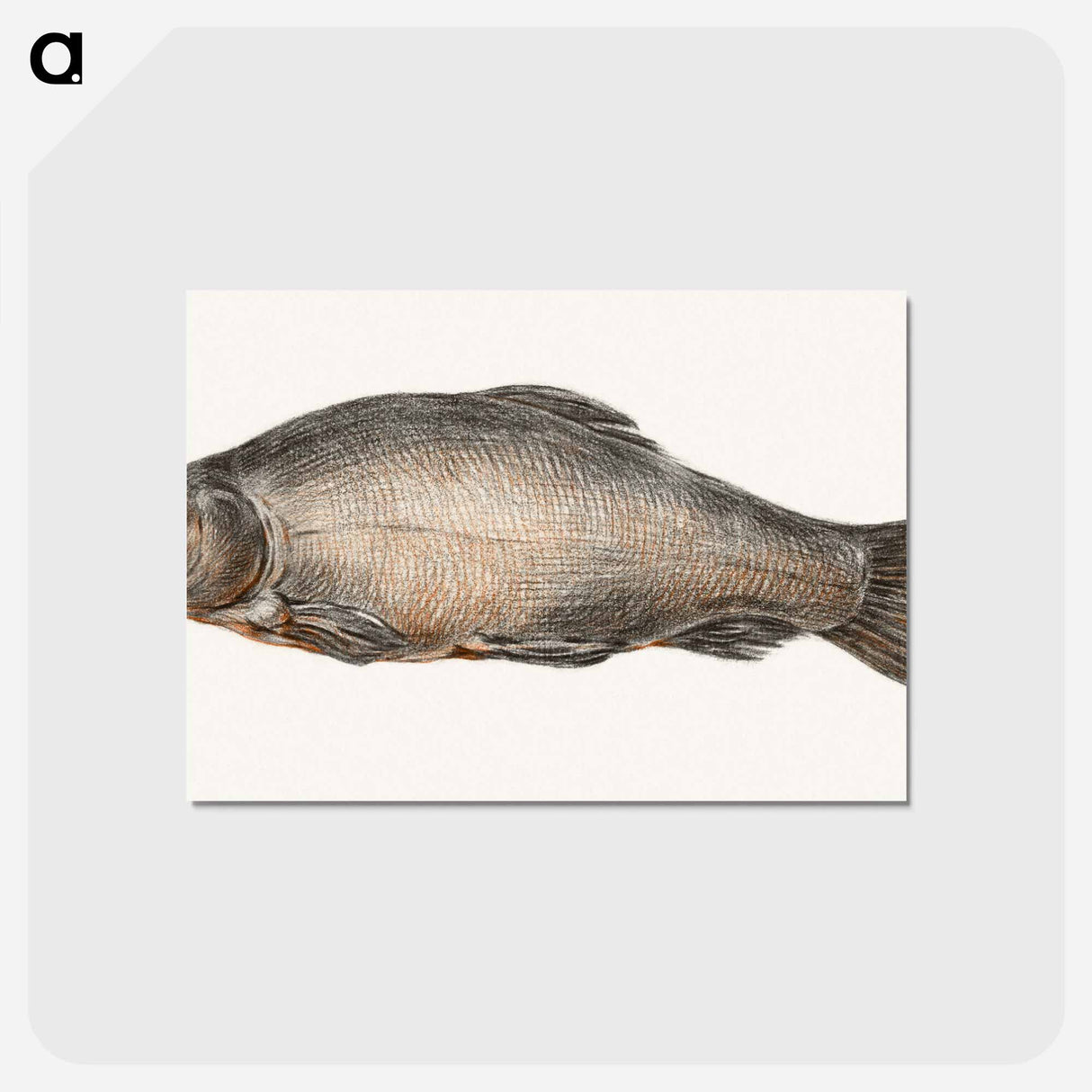 アートポストカード-Fish - ジャン ベルナール Postcard.
