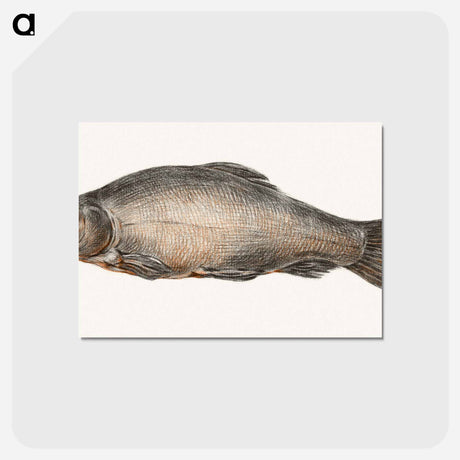 アートポストカード-Fish - ジャン ベルナール Postcard.