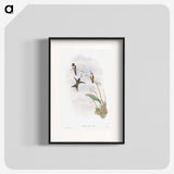 1-31_John-Gould_blk