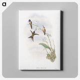 1-31_John-Gould_canvas
