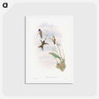 アートポストカード-The Family of Hummingbirds
 - ジョン グールド Postcard.