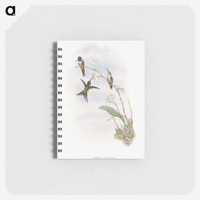 1-31_John-Gould_memo