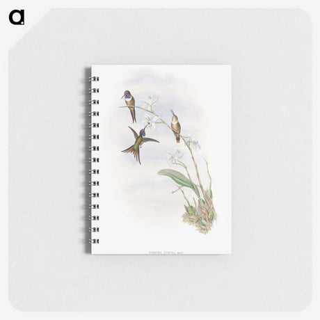 1-31_John-Gould_memo