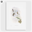 1-31_John-Gould_picture