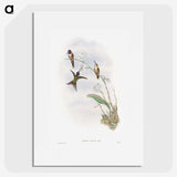 1-31_John-Gould_picture