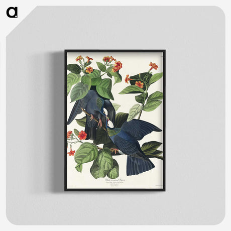 1-31_John-James-Audubon_blk-crop