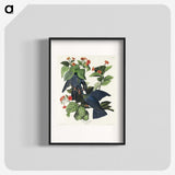 1-31_John-James-Audubon_blk