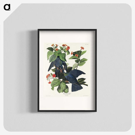 1-31_John-James-Audubon_blk