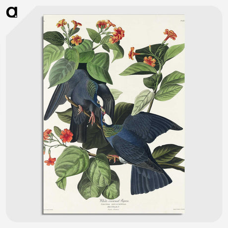 1-31_John-James-Audubon_picture-crop