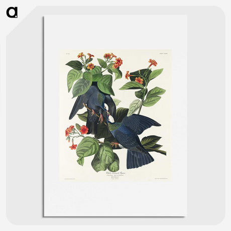 1-31_John-James-Audubon_picture
