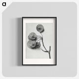 1-31_Karl-Blossfeldt_blk