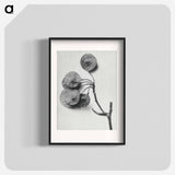 Ptelea Trifoliata (Common Hoptree) - カール ブロスフェルト Poster.