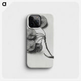 1-31_Karl-Blossfeldt_phone