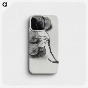 1-31_Karl-Blossfeldt_phone
