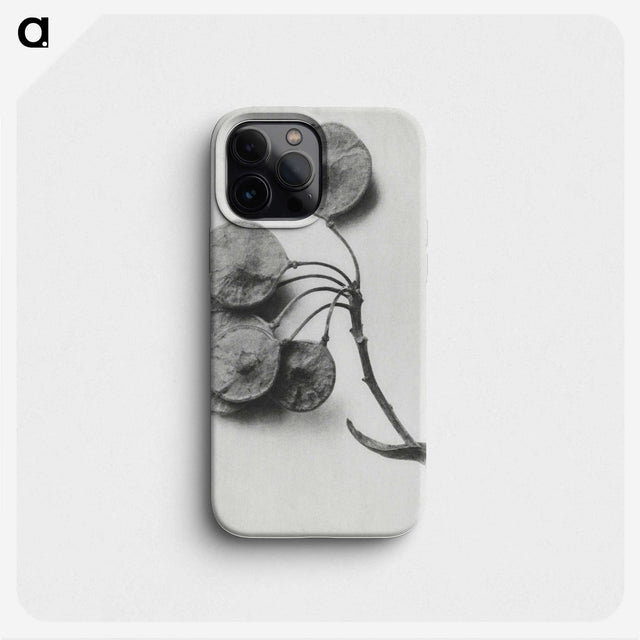 1-31_Karl-Blossfeldt_phone