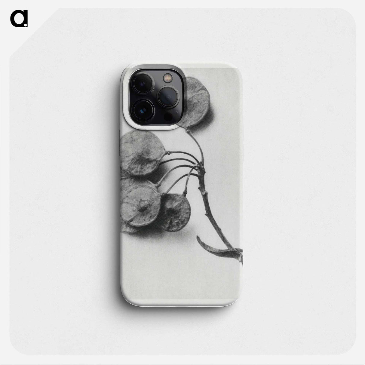 Ptelea Trifoliata (Common Hoptree) - Karl Blossfeldt Phone Case.