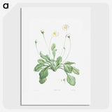 1-31_La-Botanique_picture
