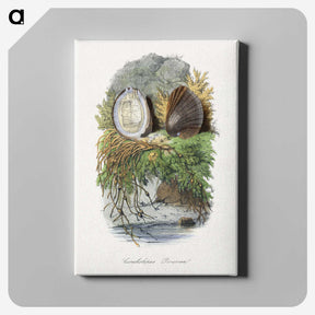 1-31_Le-Jardin-des-Plantes_canvas