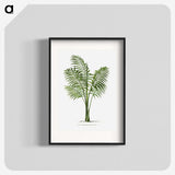 1-31_Les-Palmiers-Histoire-Iconographique_blk
