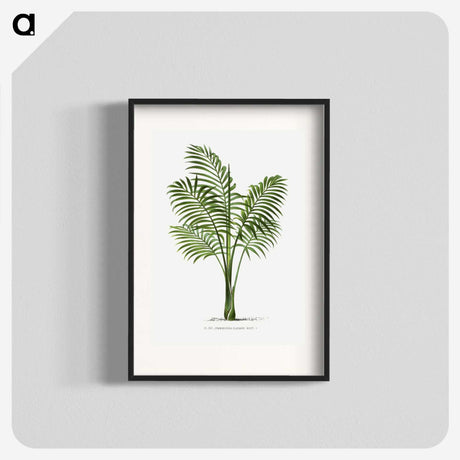 1-31_Les-Palmiers-Histoire-Iconographique_blk