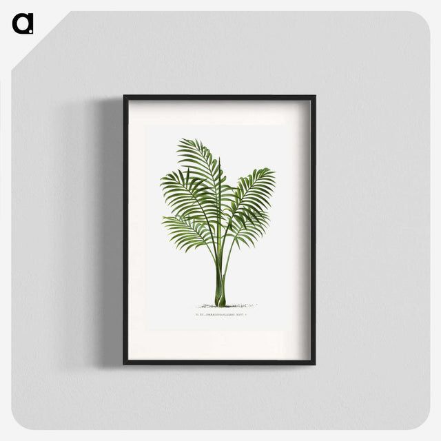 1-31_Les-Palmiers-Histoire-Iconographique_blk