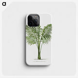 1-31_Les-Palmiers-Histoire-Iconographique_phone