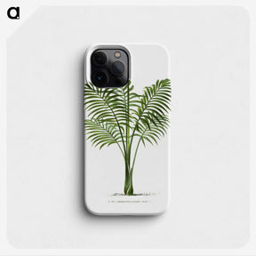 1-31_Les-Palmiers-Histoire-Iconographique_phone