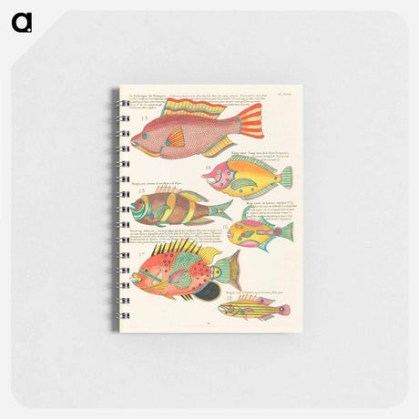 アートメモ帳-Moluccan Fishes
 - ルイ ルナール Memo.