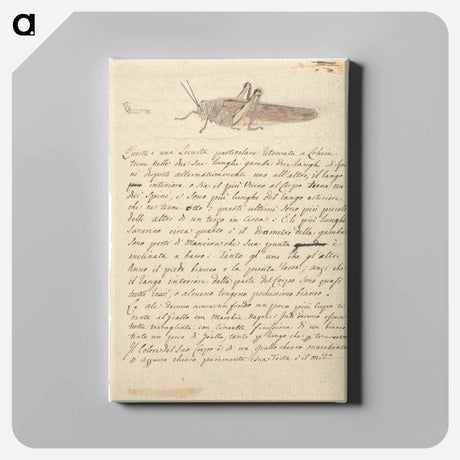 アートパネル-Locust
 - ルイージ バルガーニ Canvas.