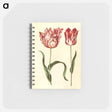 アートメモ帳-Tulipa gesneriana
 - マリア ジビーラ メーリアン Memo.