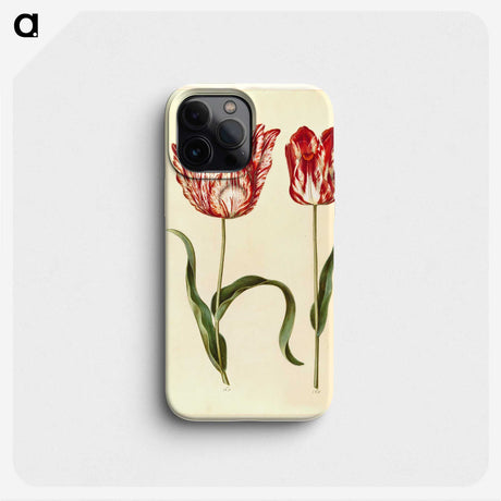 1-31_Maria-Sibylla-Merian_phone