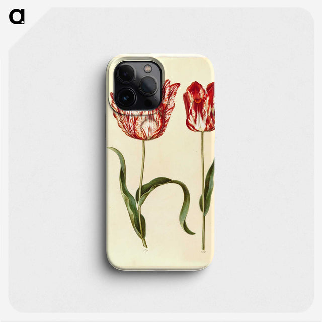 1-31_Maria-Sibylla-Merian_phone