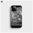 1-31_Marion-Post-Wolcott_phone