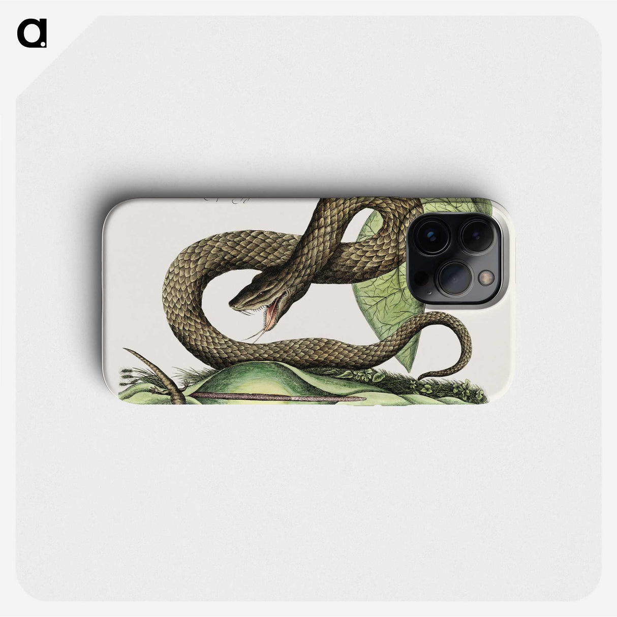 1-31_Mark-Catesby_phone