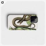 1-31_Mark-Catesby_phone