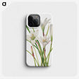 1-31_Mary-Vaux-Walcott_phone