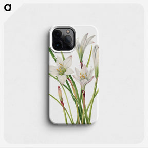 1-31_Mary-Vaux-Walcott_phone