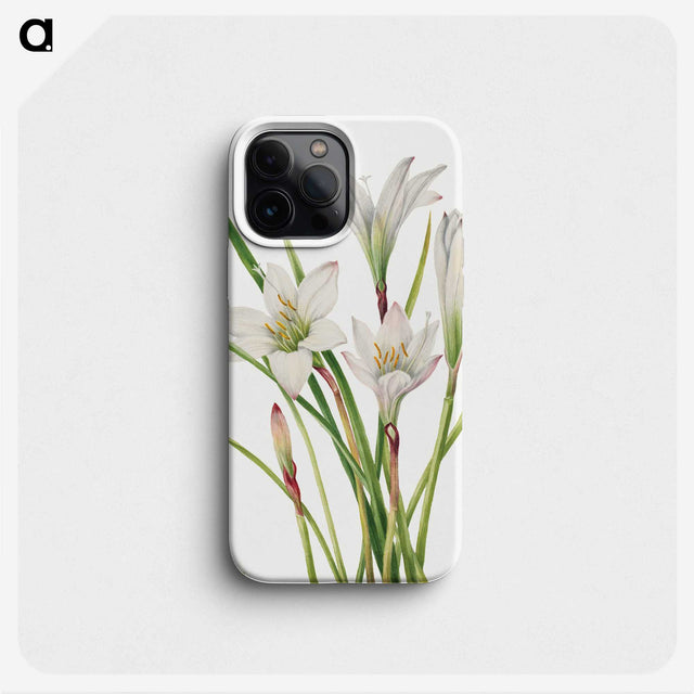 1-31_Mary-Vaux-Walcott_phone