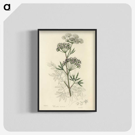 1-31_Medical-Botany_blk-crop