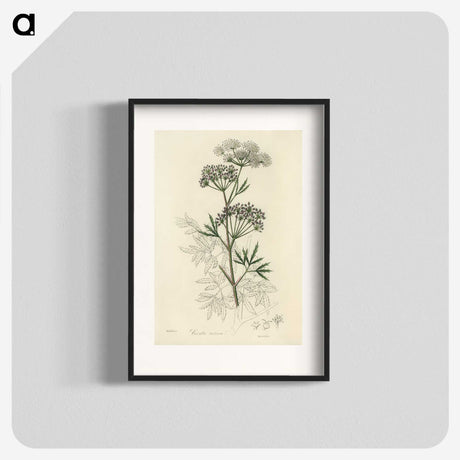 1-31_Medical-Botany_blk