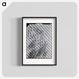1-31_Milos-Dohnany_blk