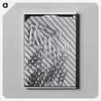 1-31_Milos-Dohnany_canvas