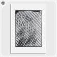 1-31_Milos-Dohnany_picture