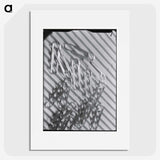 1-31_Milos-Dohnany_picture