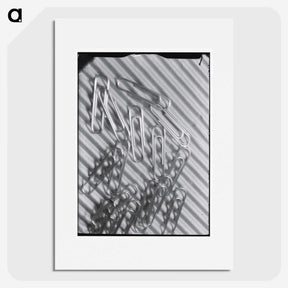 1-31_Milos-Dohnany_picture